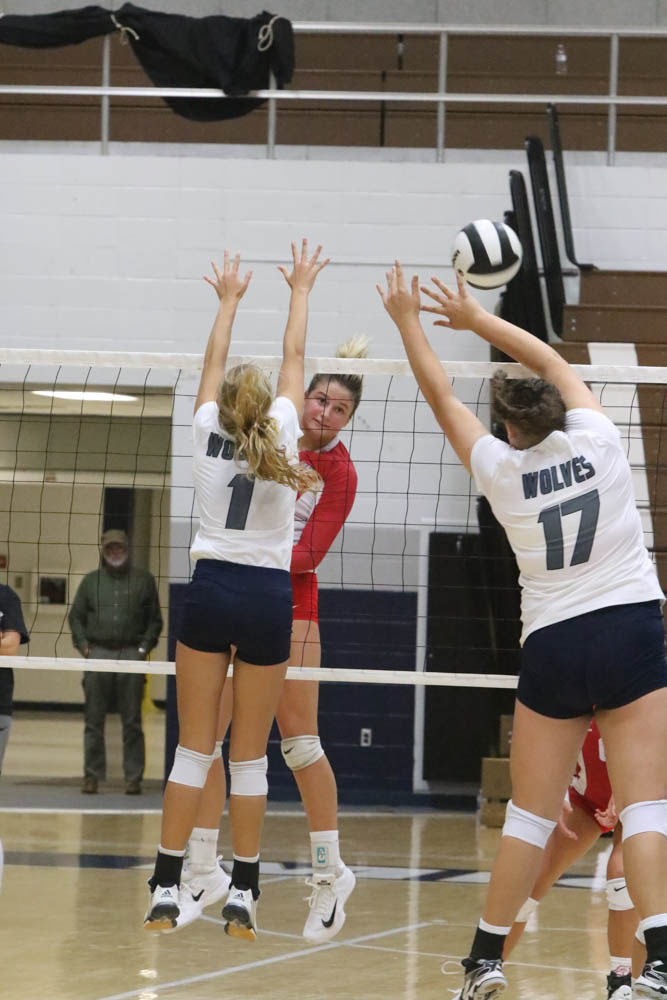 Gallery: Girls volleyball - Crown Point at Michigan City